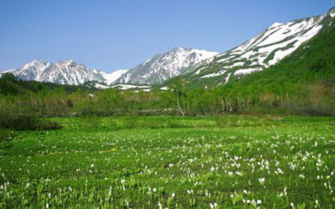 信州・長野の観光におすすめ！ 乗り物で楽々、日本の絶景・感動の世界へ