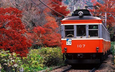 子供も大好き、箱根の絶景乗り物さんぽ　子連れの国内旅行・観光におすすめ！