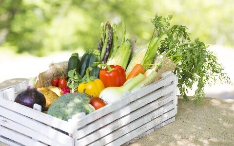 暑さに負けない体をつくろう！ 旬の夏野菜で夏バテを撃退！