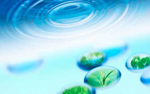 食べ過ぎ、飲み過ぎにおすすめ！ レスキュー アロマ