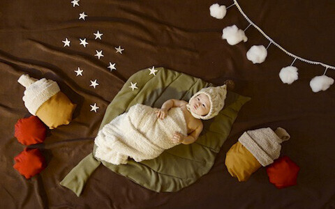 赤ちゃんの写真に使える！ 毛布をリメイクした葉っぱ型マットの作り方