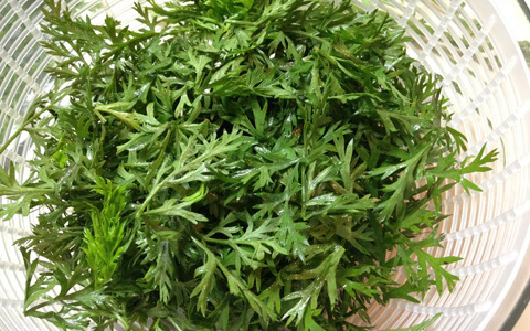 にんじんの葉を使って作る、簡単便利なジェノベーゼ風ソースのレシピ