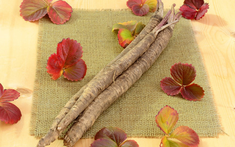 おかずにも子供のおやつにもなる！ うなぎごぼうのレシピ