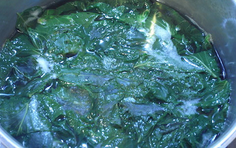 1年中楽しめる、簡単おいしい青シソジュース