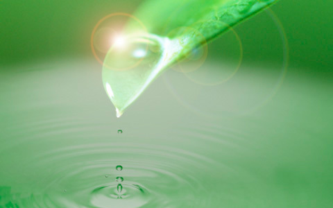 アロマテラピーを安全に楽しむために大切な、正しい知識（妊婦・子ども編）