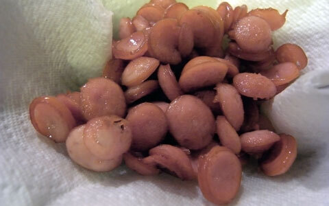 カレーの風味が食欲をそそる、洋風サラダライス