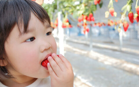 バスでギャン泣きも問題なし。働くママ友も増える「春のファミリー日帰りツアー」