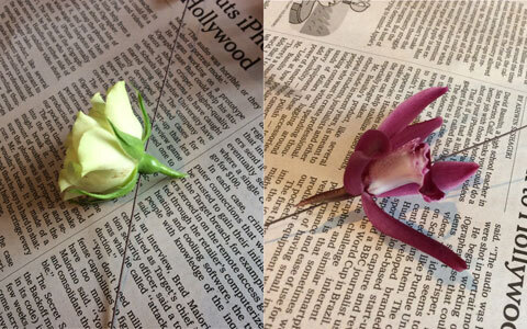 卒業式・入学式などのセレモニーにおすすめ、生花のコサージュで素敵な思い出を