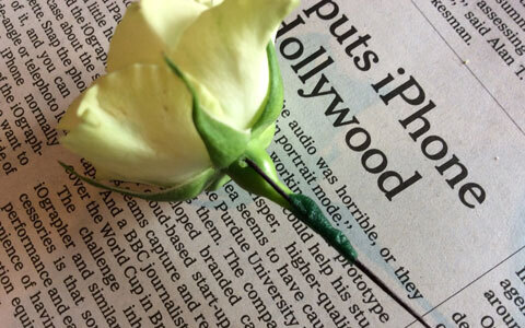 卒業式・入学式などのセレモニーにおすすめ、生花のコサージュで素敵な思い出を