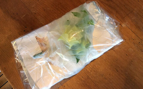 卒業式・入学式などのセレモニーにおすすめ、生花のコサージュで素敵な思い出を