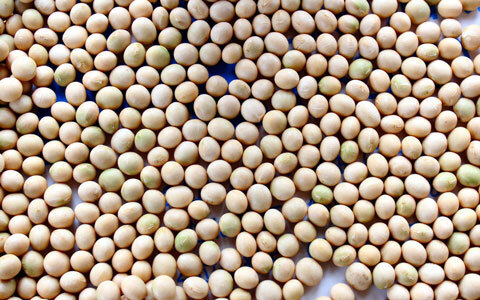 食の安全について知りたい？　それならばまず、この映画を見ておこう