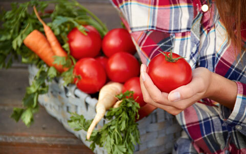 子どもと一緒に家庭菜園を楽しもう！ 初心者向けにぴったりな野菜は？