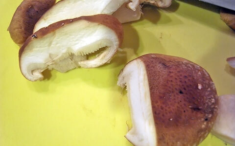 下味は塩、こしょうだけ！ 鶏のささみと椎茸の簡単ヘルシー春巻き