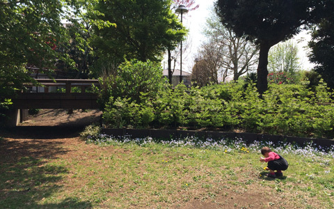 毎日の心がけで変わる！ 子どもの色彩センスの磨き方