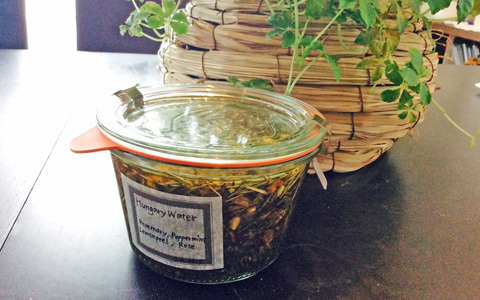 ハンガリーウォーターの作り方と使い方。子どもと一緒に使おう！