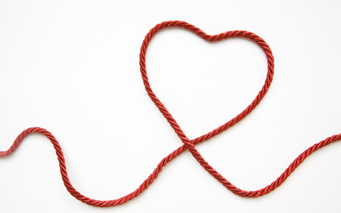 10ヵ月も繋がっていた赤ちゃんの命綱「へその緒」に関するあれこれ