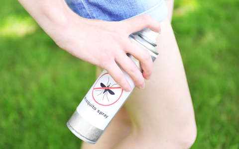 かゆいだけじゃ済まないことも、知っておきたい蚊の対策法