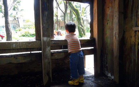 自分の責任で自由に遊ぶ　「プレーパーク」ってどんなところ？