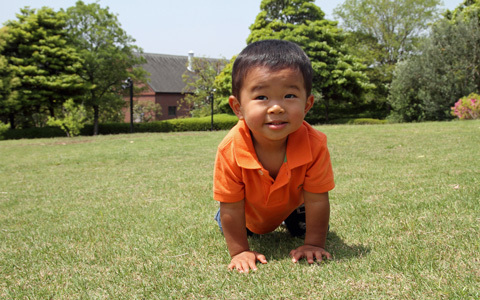 小学校受験でも採用されている「くま歩き」って何？