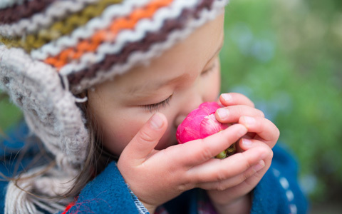 産後や紫外線による髪のパサつき改善には、椿油がおすすめ
