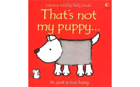 子どもの英語教育に！ 英語で絵本読み聞かせ　絵本紹介26「That's not my puppy」