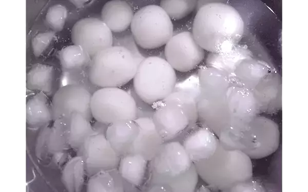 秋を楽しもう！　自家製きな粉で作る、お月見団子