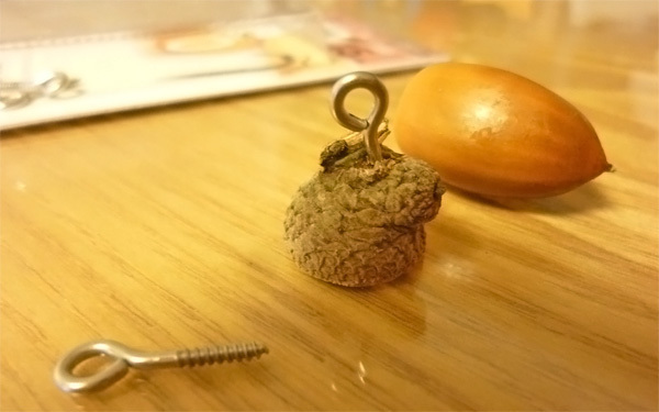 虫が出てこなくなる！　どんぐりの処理方法とかわいいアレンジ