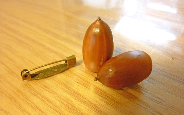 虫が出てこなくなる！　どんぐりの処理方法とかわいいアレンジ