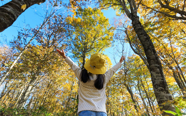 紅葉シーズン到来！　子どもと楽しむ、もみじ狩り