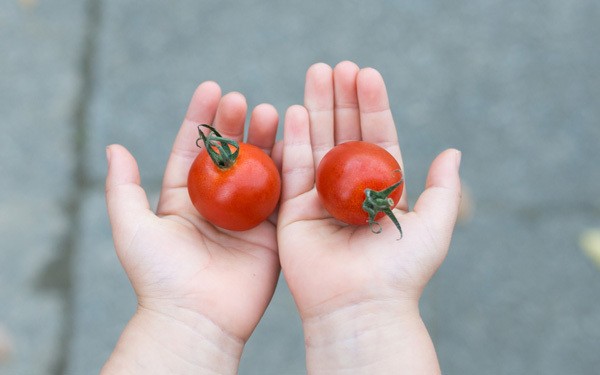 子どもの好き嫌いをなくすアイデア・前編（子どもの食について、これだけは押さえておきたいこと Vol.4）