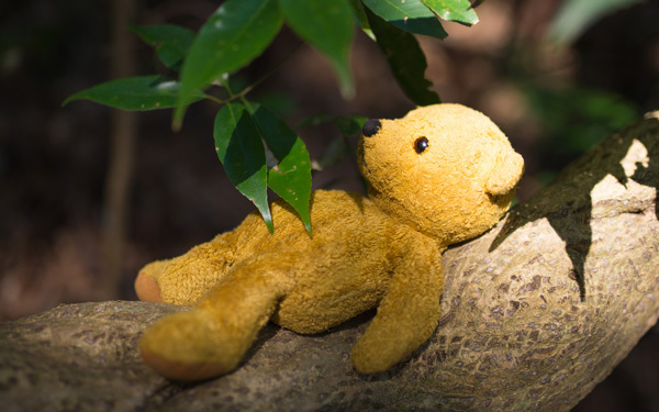 子どもがかわいいと思えない母親は、親として失格か？