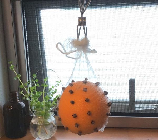 クリスマスに親子で作ろう、幸運を呼ぶ香り玉・オレンジポマンダー