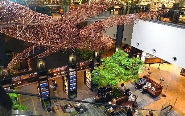 書店員さんに聞くクリスマスに贈りたい絵本2015　～0歳・1歳児向け～