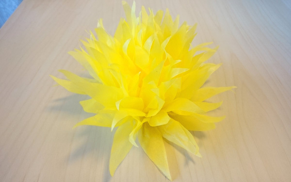 ひと手間でワンランク上のお花ができる！　卒園・卒業・入学シーズンにおすすめのお花紙の使い方