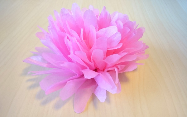 ひと手間でワンランク上のお花ができる！　卒園・卒業・入学シーズンにおすすめのお花紙の使い方