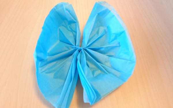 ひと手間でワンランク上のお花ができる！　卒園・卒業・入学シーズンにおすすめのお花紙の使い方