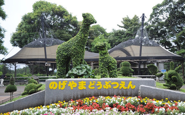 横浜の中心地に60年以上の歴史を刻む、無料入園可能な「野毛山動物園」