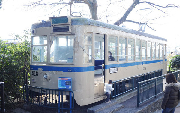 無料で動物が見れちゃう？　「野毛山動物園」に行こう！