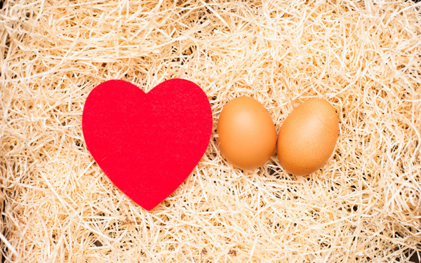 双子を妊娠！ ママが知っておくべき妊娠中のリスクや一卵性・二卵性の違い