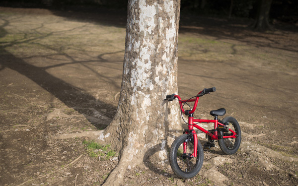 9,500万円！　自転車事故の小学生母に賠償金請求（親子を守る自転車保険特集 Vol.1）
