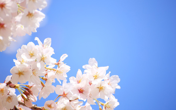 準備は万全？　幼稚園入園に向けて用意しておきたい、モノと心構え