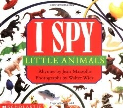 I Spy Little Animals・書影