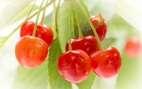 やらなきゃもったいない、ママたちこそ「ふるさと納税」を活用すべき理由とは（その2）