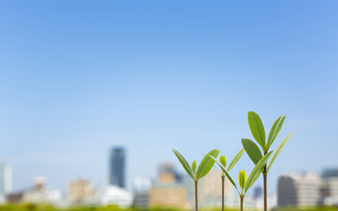 2015年版 家を買う前に知っておきたいポイント4つ（住宅ローン特集2015年度版1）