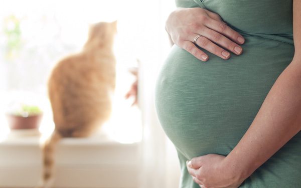 契約社員、派遣社員でももらえる？ 出産手当金Q&A（2015～2016年度版　妊娠・出産のお金特集 Vol.6）