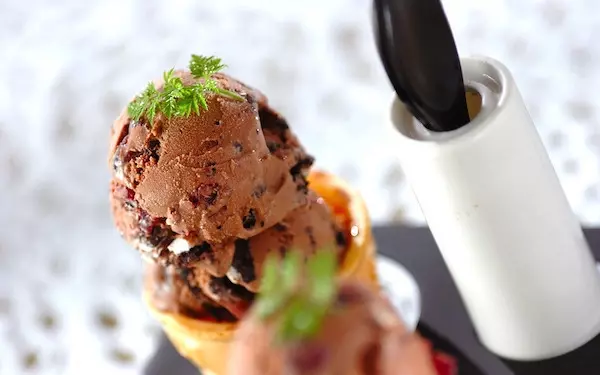 キルシュの香りで大人の味に！　チョコクランベリーアイス