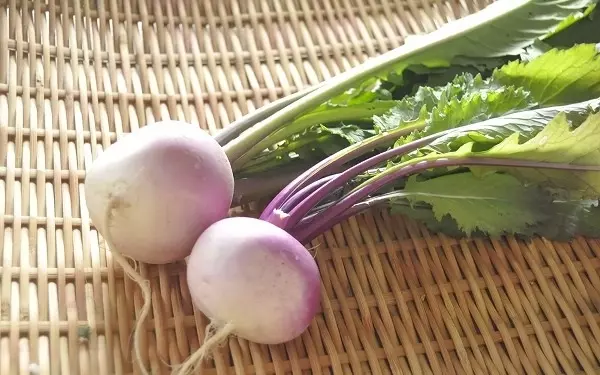 すりおろしても美味! 「かぶら汁」