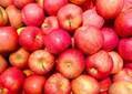 りんごの栄養は加熱しても消えない？正しい食べ方で効果を実感しよう！
