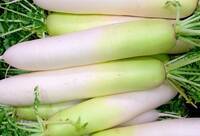 大根がもつ栄養が丸わかり！選び方のポイントや食べ方も紹介！