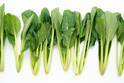 小松菜は栄養豊富な野菜！ほうれん草との違いやおすすめの調理法を紹介